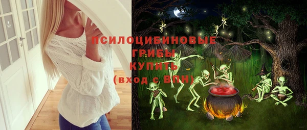 прущий лед Армянск